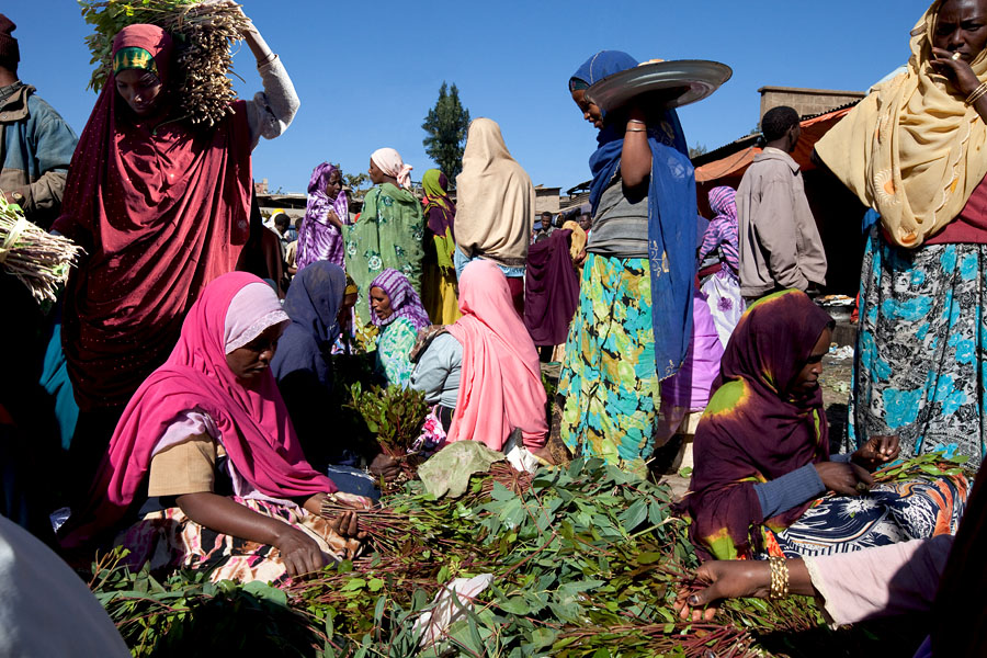 232   Awadai market is an international market for khat   Ethiopia
